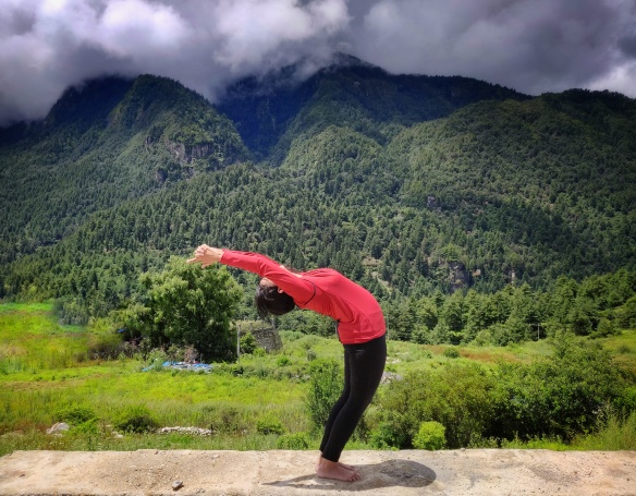 vivi's yoga journey